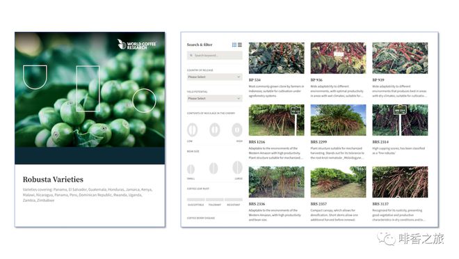 博业体育app世界咖啡研究发布“罗布斯塔品种目录”(图5)