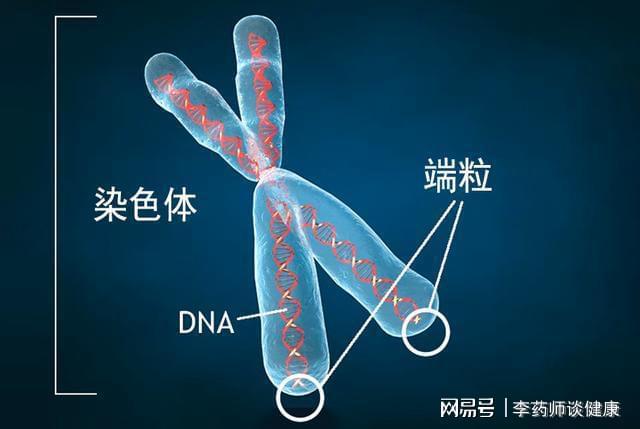 博业体育平台8名博业体育科学家发现速溶咖啡新危害：喝一杯少活138天生命时钟被改变app(图2)