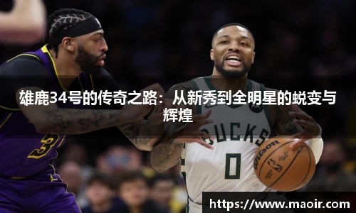 雄鹿34号的传奇之路：从新秀到全明星的蜕变与辉煌